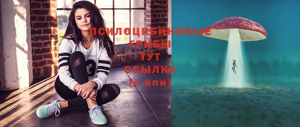 спайс Лагань