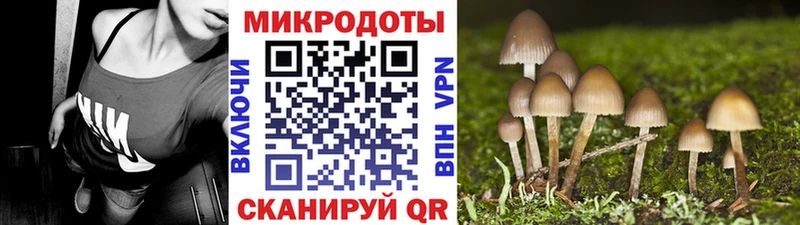 Купить  Мурино  Псилоцибиновые грибы мицелий 